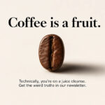 Is Coffee A Fruit