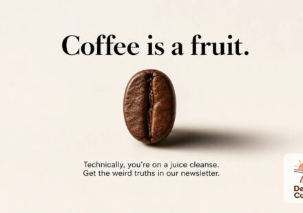 Is Coffee A Fruit