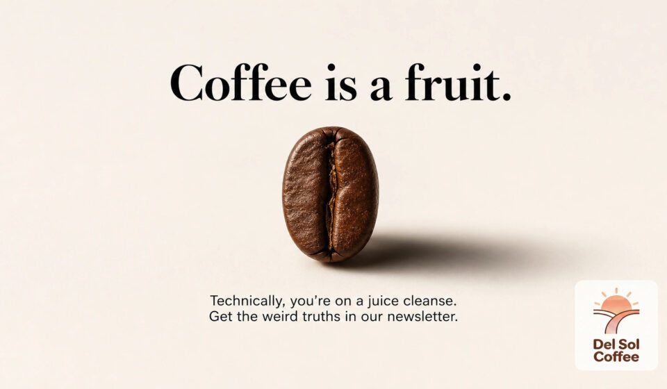 Is Coffee A Fruit